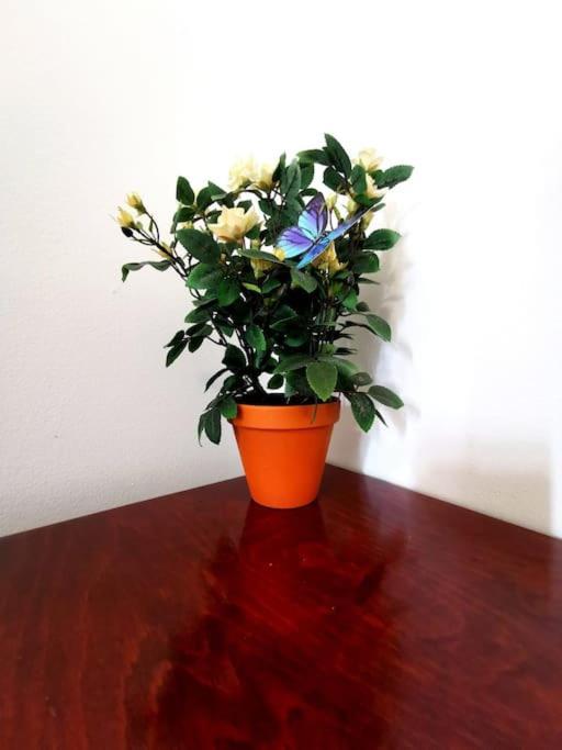 Kosi Toranj Apartment Rijeka Luaran gambar